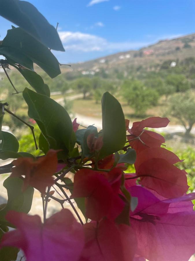 Κτήμα Ειρήνη Apartment Otzias Bagian luar foto